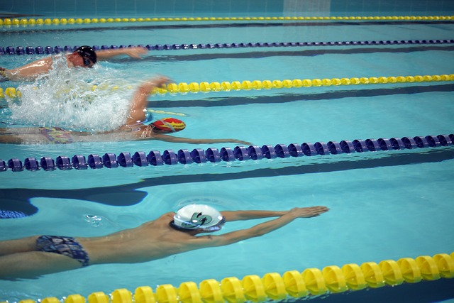 运动员的职 运动员的职