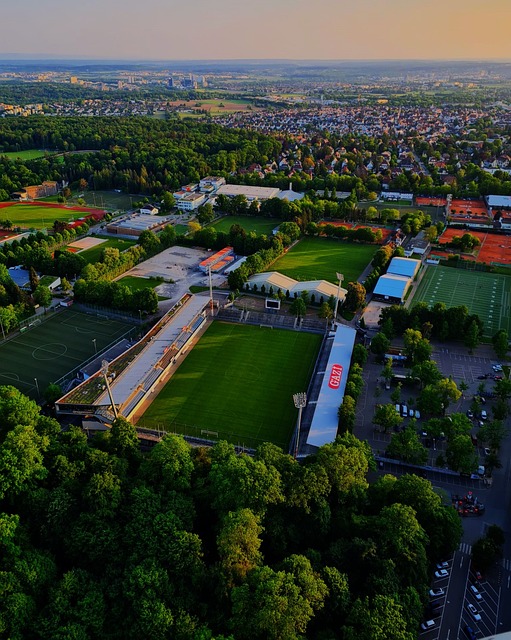 总能引发球 总能引发球