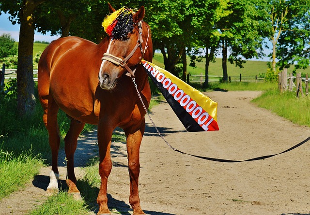 还让他日后 还让他日后