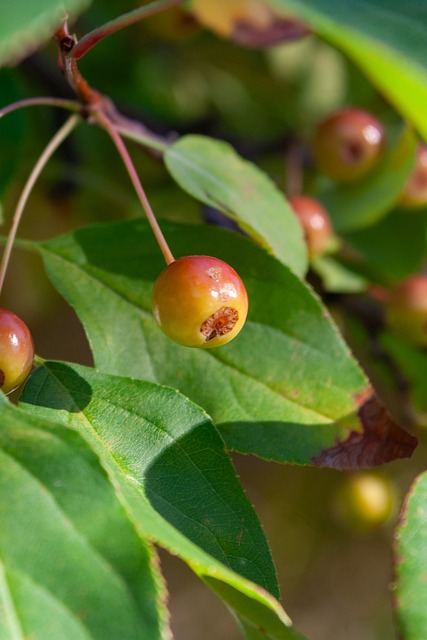 一面真实与 一面真实与