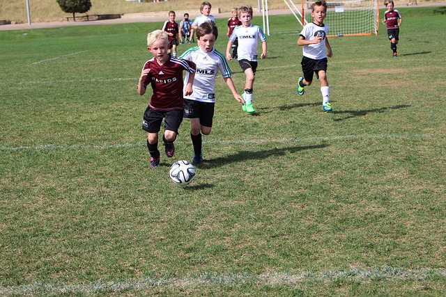 心作出的倾 心作出的倾