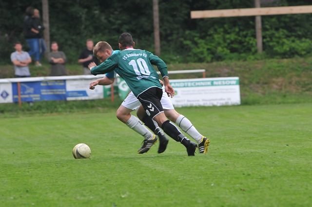 静的决策能 静的决策能