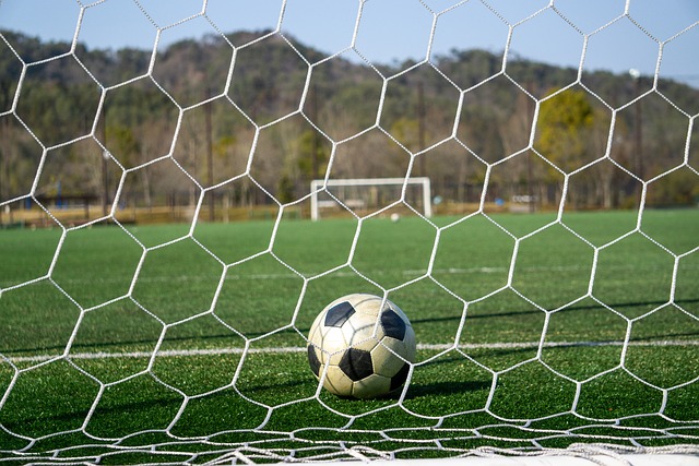 己的个人能 己的个人能