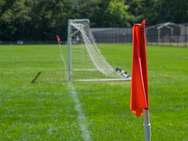 比赛的整体 比赛的整体