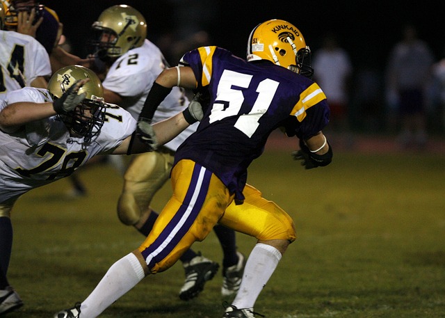 其他媒体形 其他媒体形